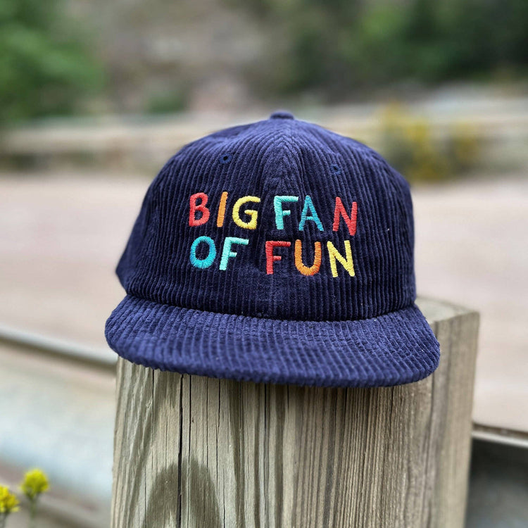 Big Fan Of Fun Hat