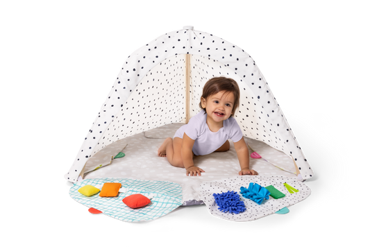 The Play Gym