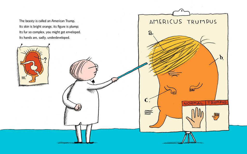 Child's First Book of Trump by Michael Ian Black
