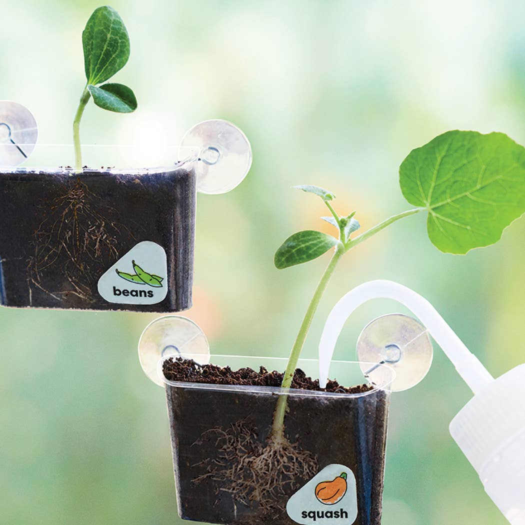 Window Garden DIY Growing Plant Kit for Kids