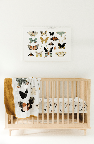 Butterfly Collector Quilt