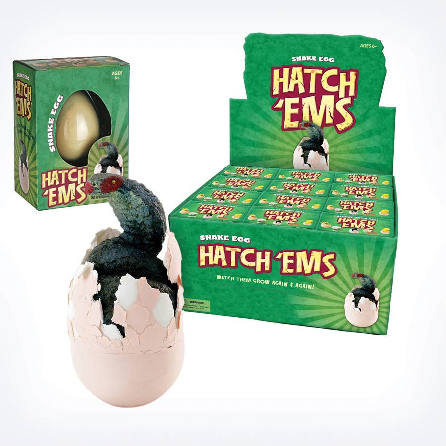 Snakes (Mini Hatch'ems) | Watch them Grow!