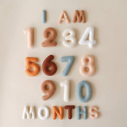 Monthly Milestone Felt Letters - Neutral