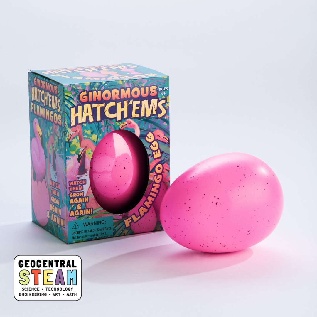 Ginormous Flamingos (Hatch'ems) | Watch them Grow!