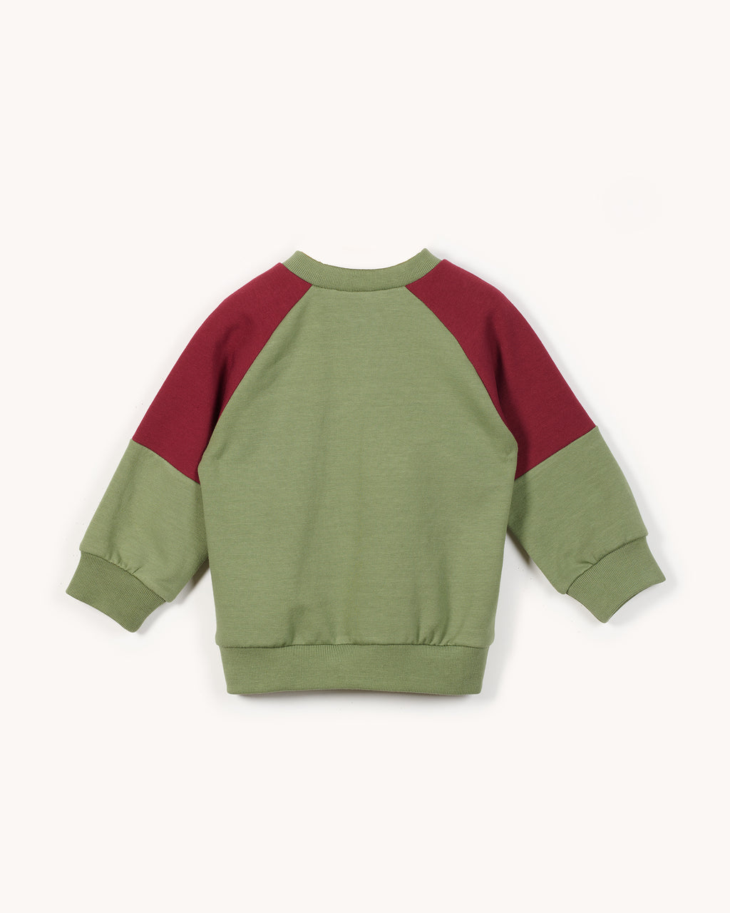 Wild Cotton Sweatshirt in Pistaccio