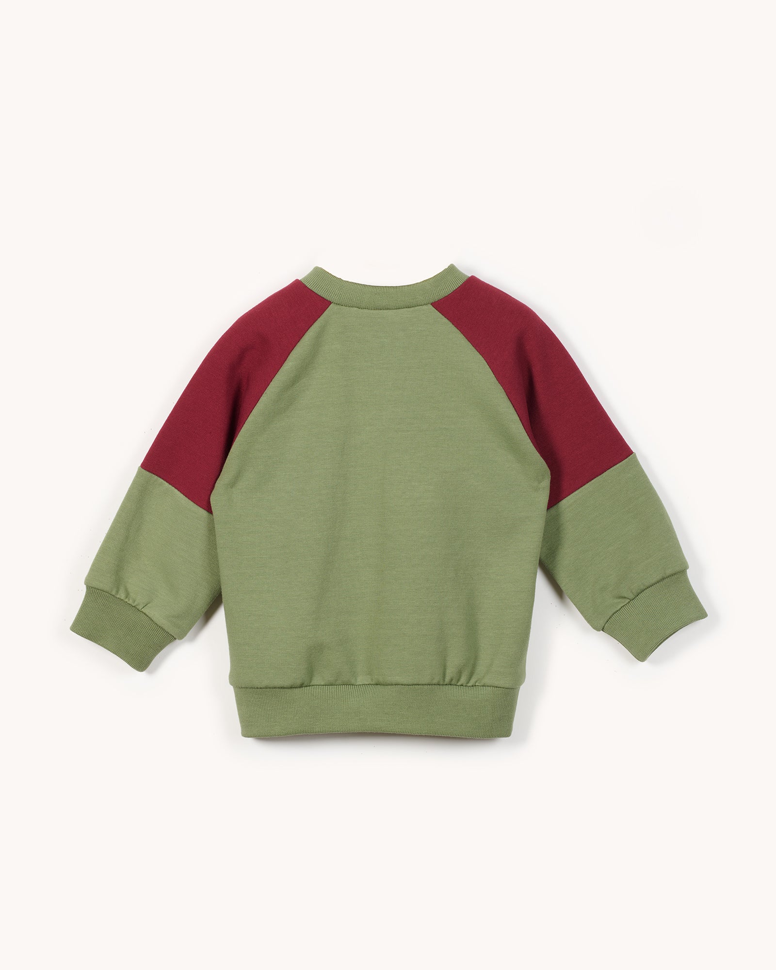 Wild Cotton Sweatshirt in Pistaccio