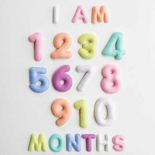 Monthly Milestone Felt Letters - Pastel