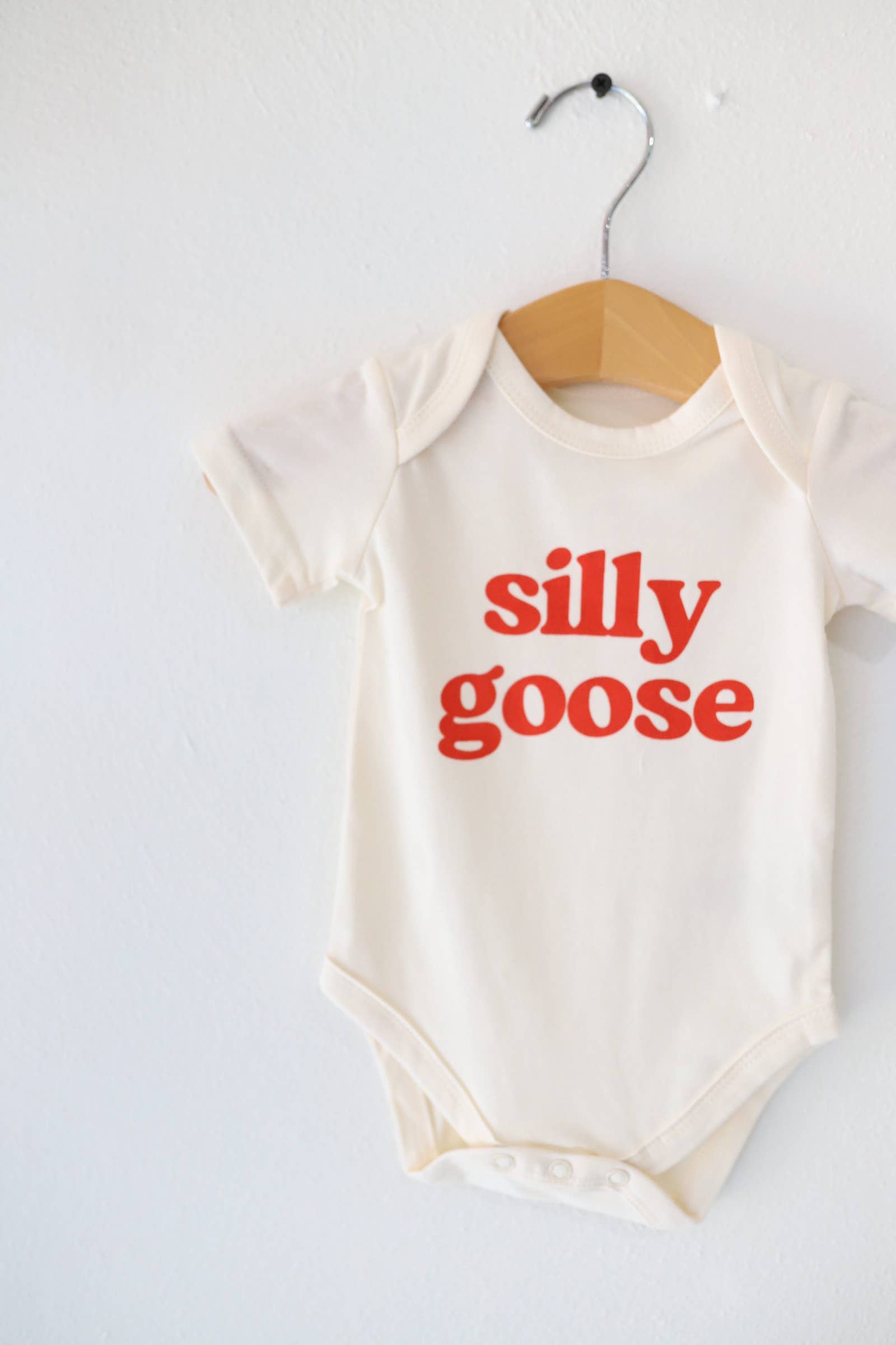 Silly Goose Baby Onesie, baby clothes, baby boy, baby girl