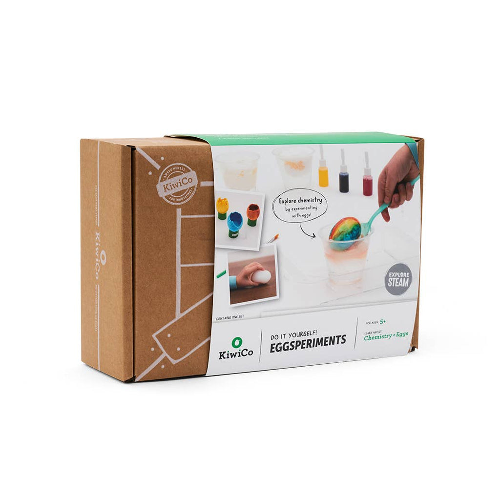 DIY Egg Experiment Kit for Kids