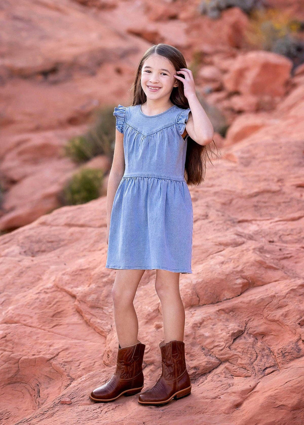Demin Flutter Sleeve Dress