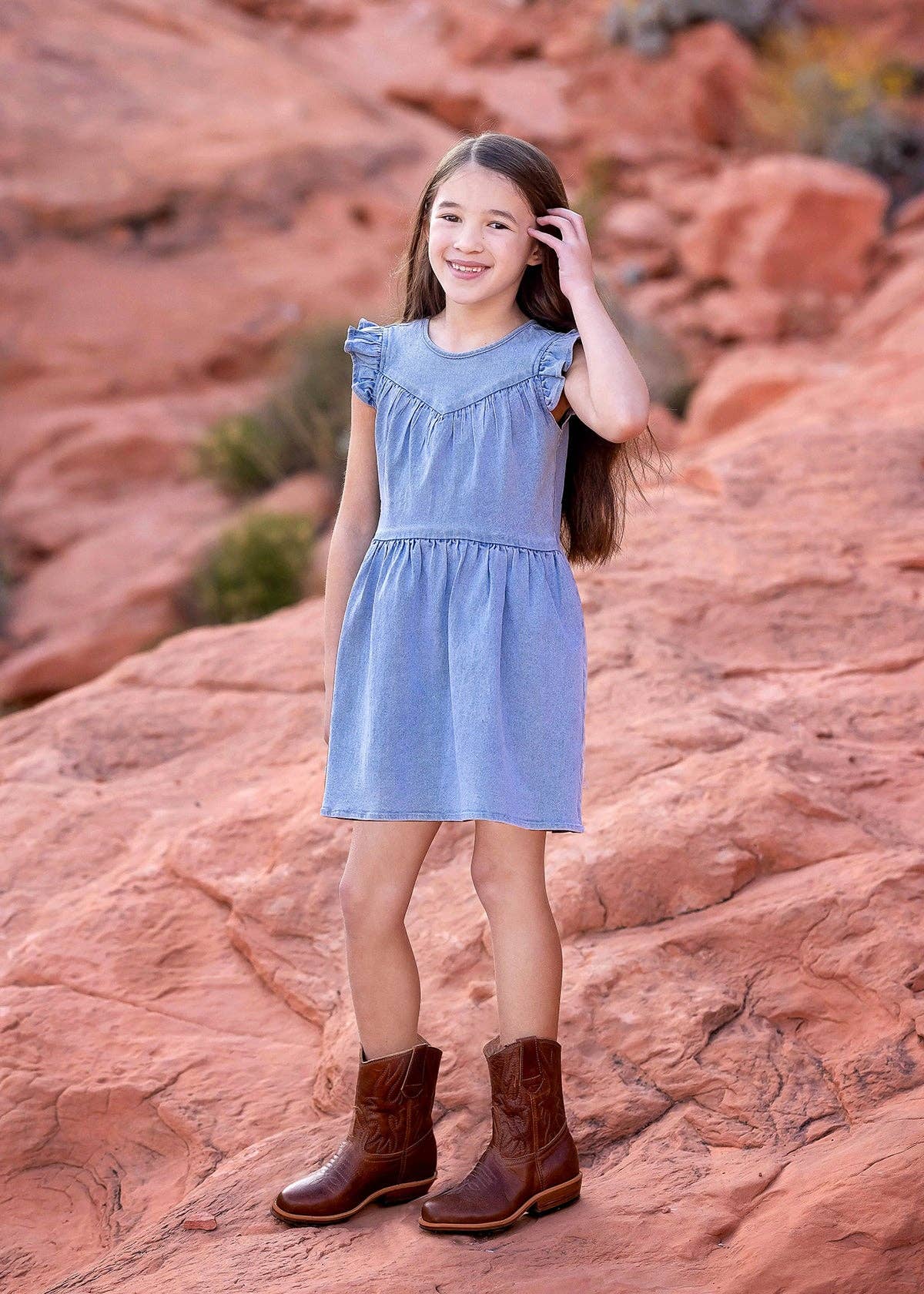 Demin Flutter Sleeve Dress