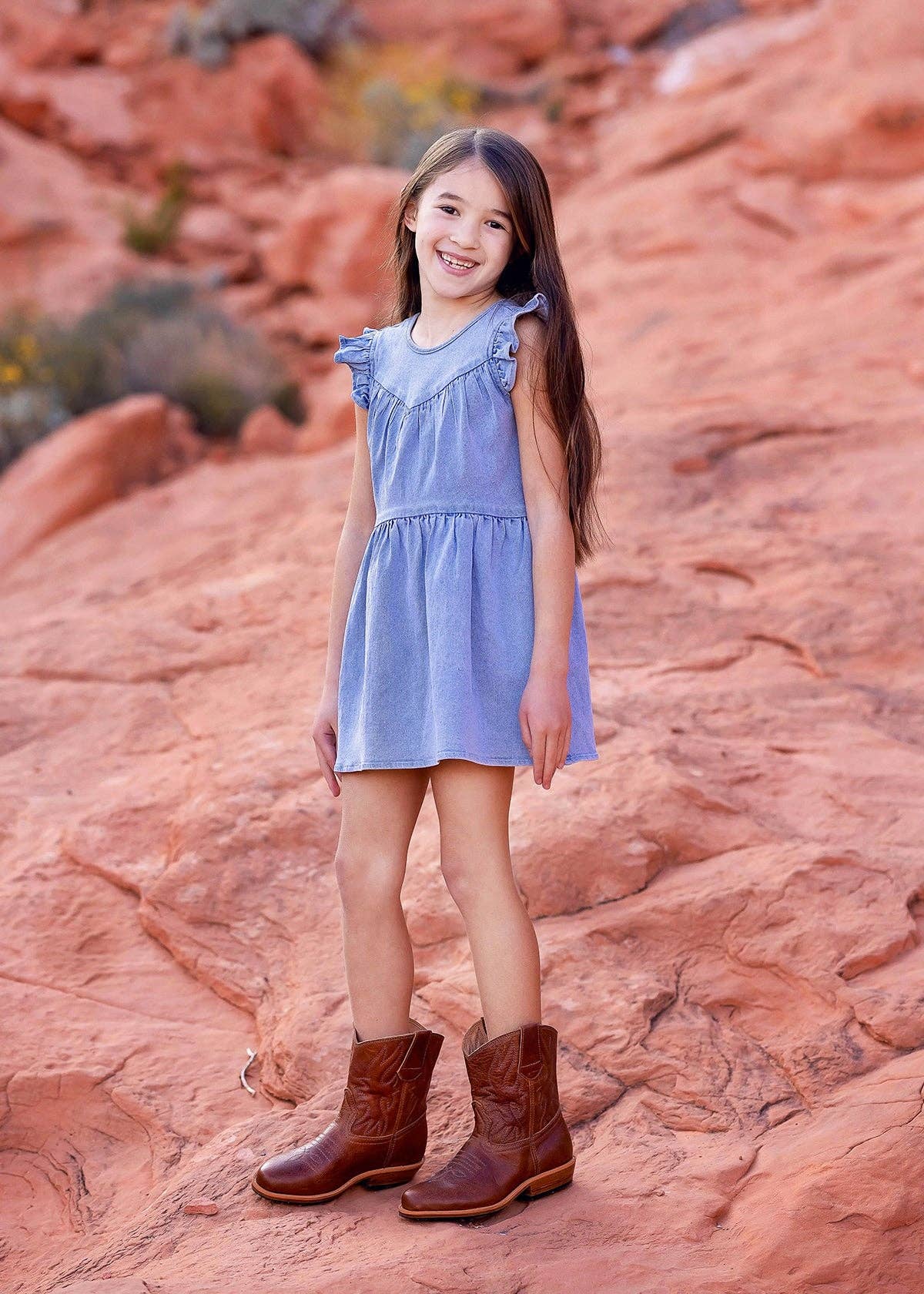 Demin Flutter Sleeve Dress