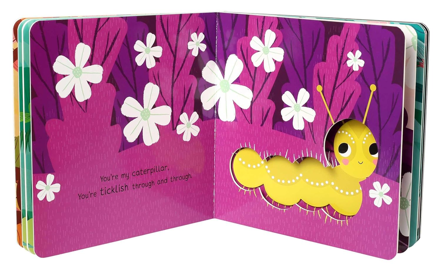 You’re My Little Cuddle Bug by Nicola Edwards