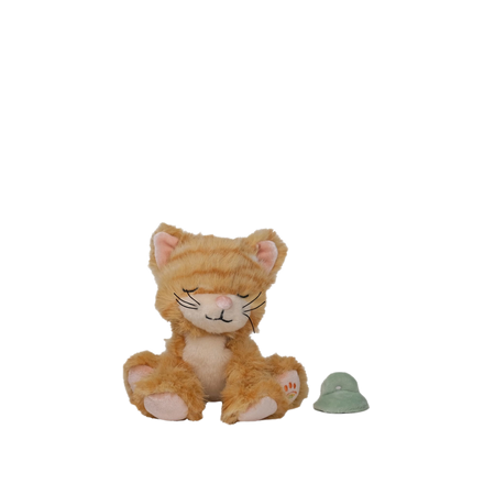 Binky Kitten - Ginger
