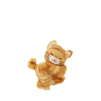 Binky Kitten - Ginger
