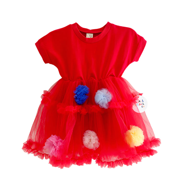 Pom Pom Crewneck Dress
