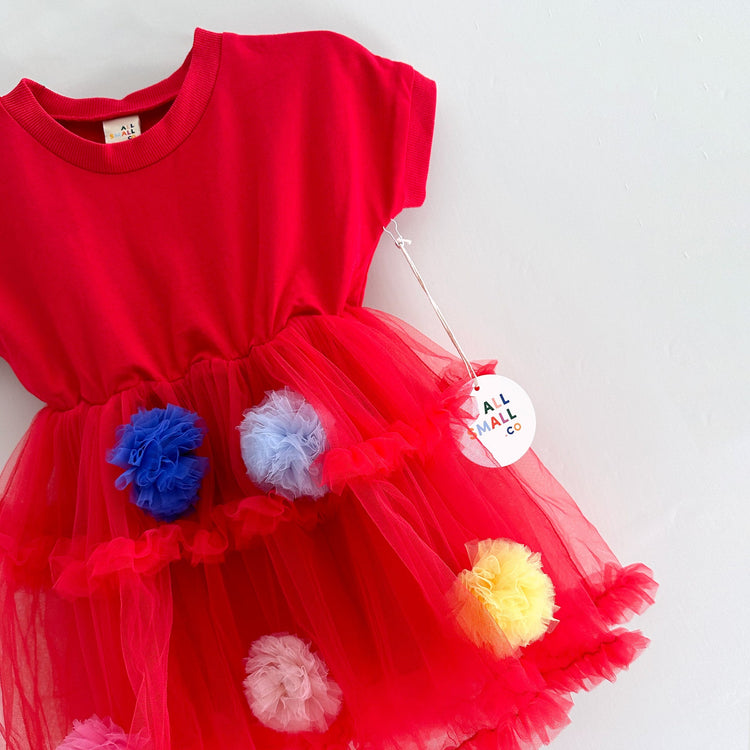 Pom Pom Crewneck Dress