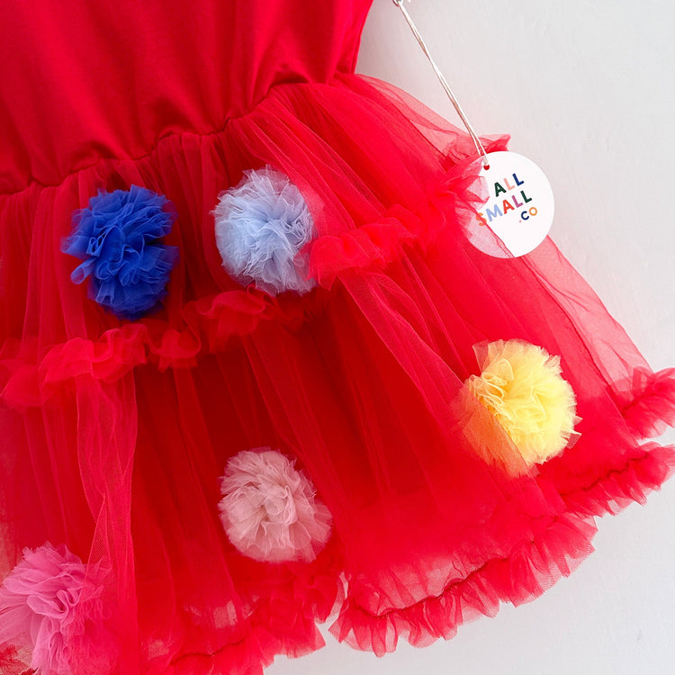 Pom Pom Crewneck Dress