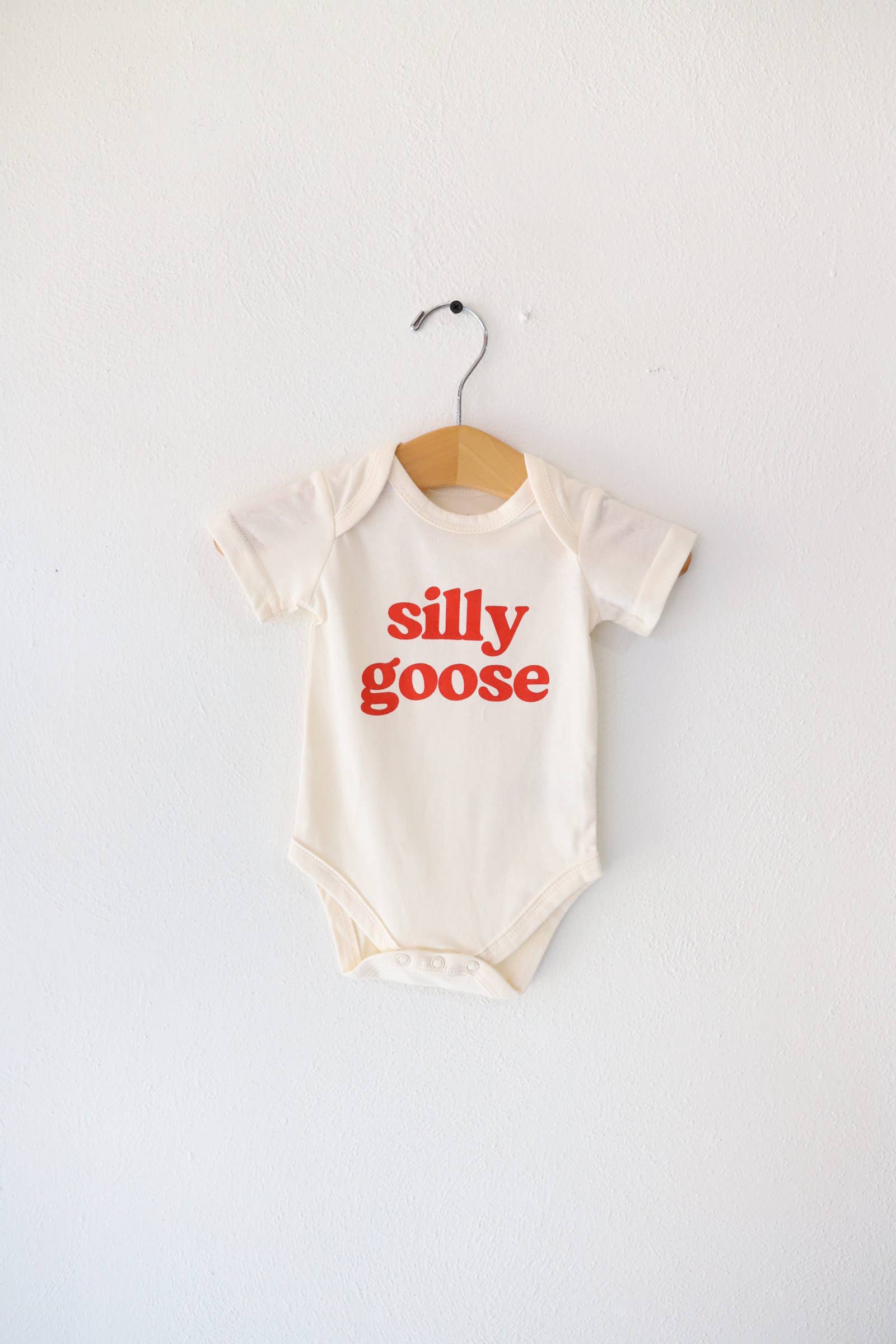 Silly Goose Baby Onesie, baby clothes, baby boy, baby girl