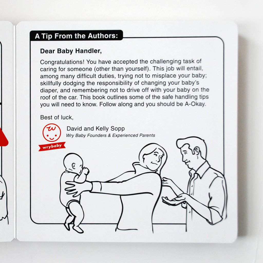 Safe Baby Handling Tips - Best Selling Parenting Book