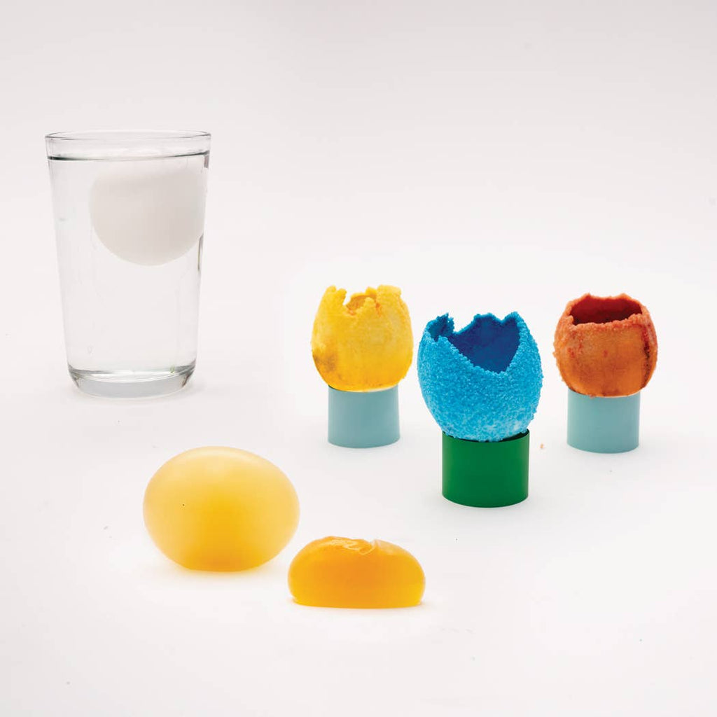 DIY Egg Experiment Kit for Kids