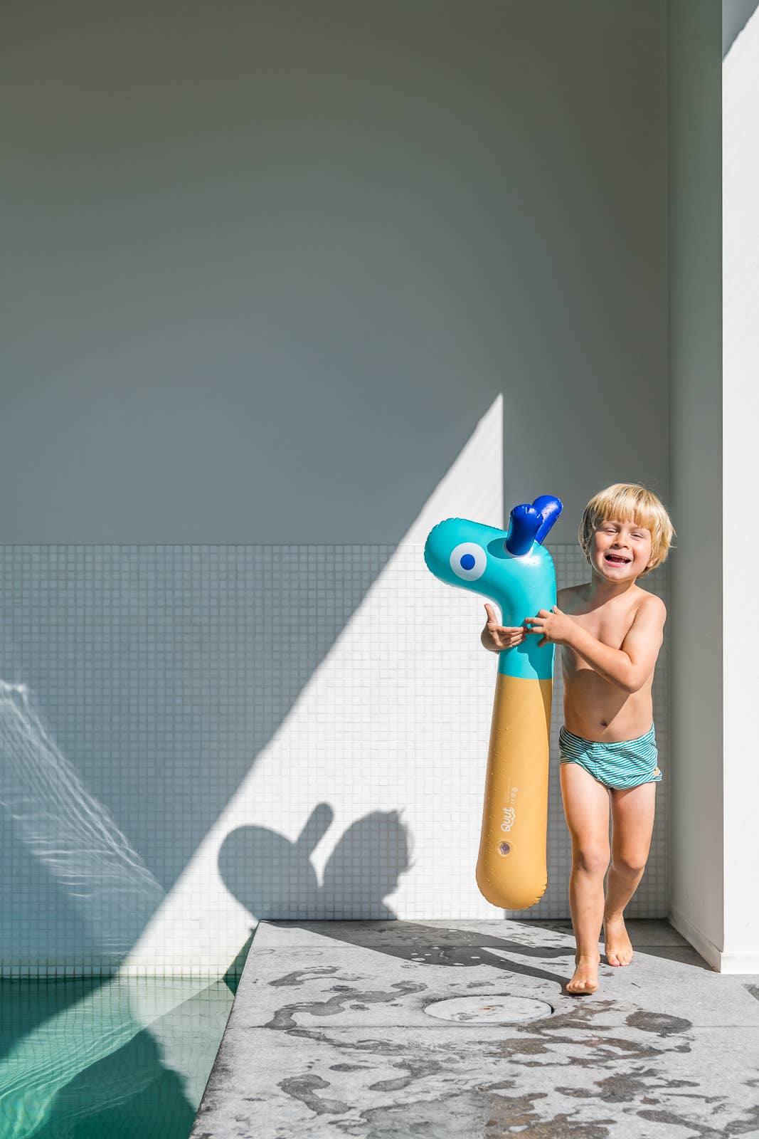 Noodle Friends - Pool Toy