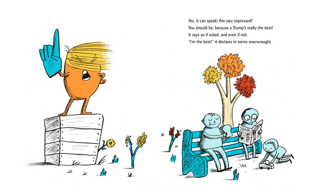 Child's First Book of Trump by Michael Ian Black