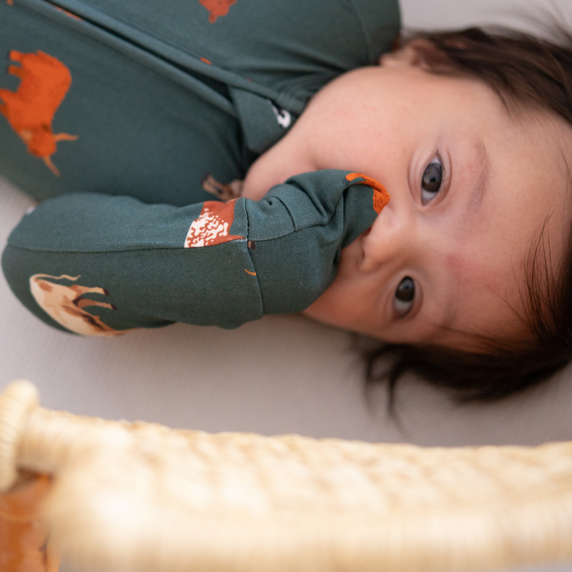 Bamboo 2-Way Convertible Zip Romper | Green Cow (0-24m)