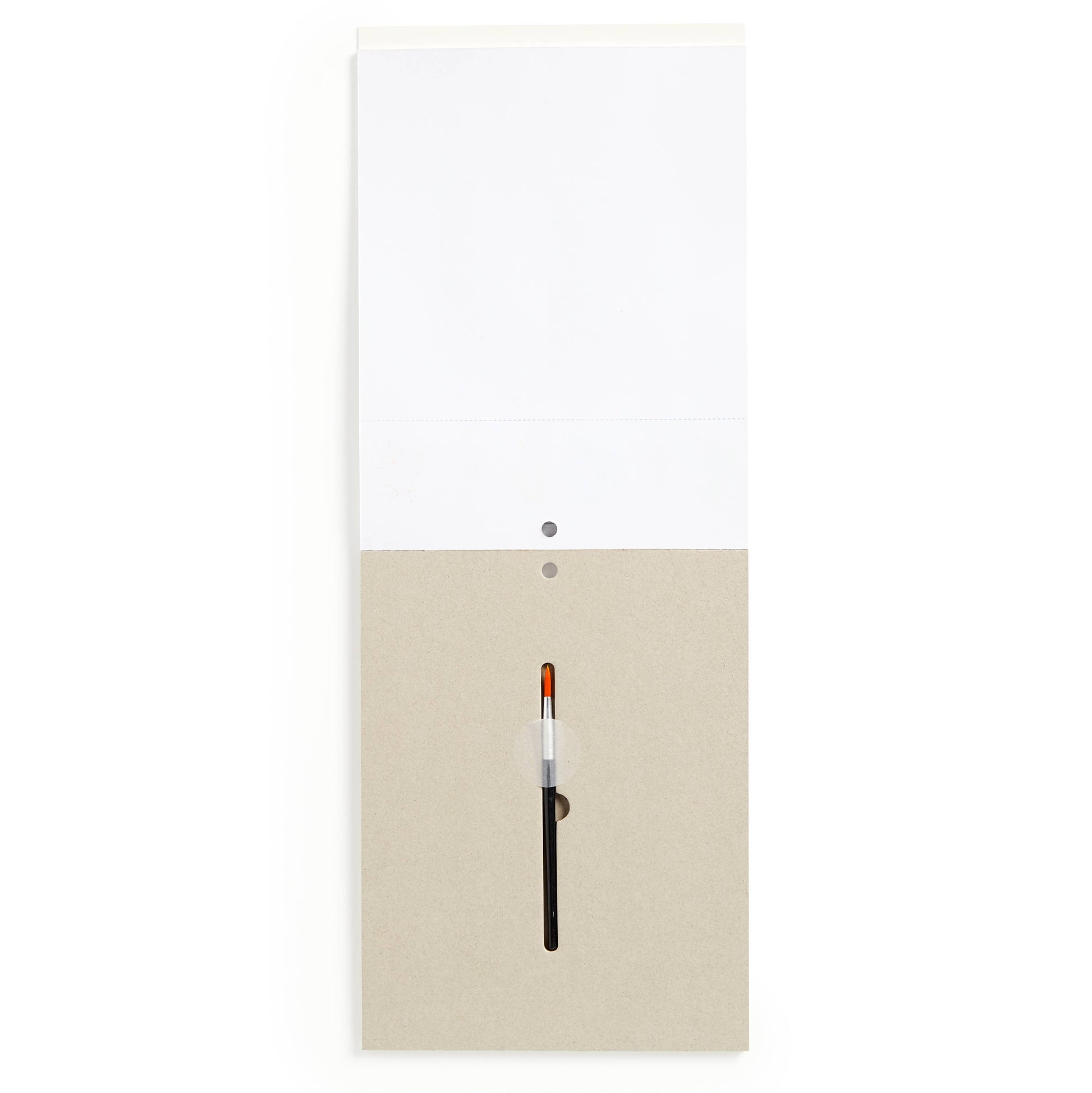 Dinosaur Park Painting Kit