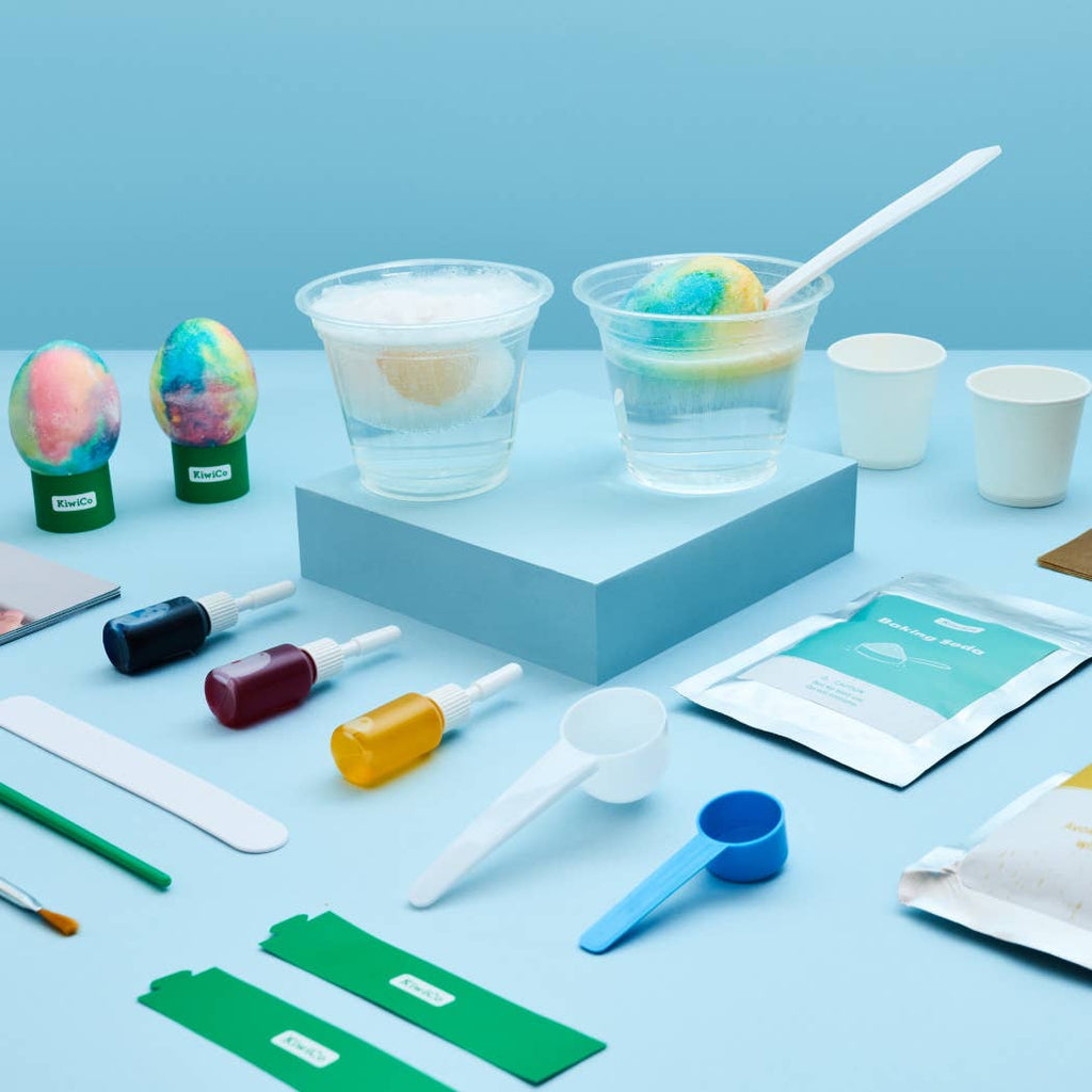 DIY Egg Experiment Kit for Kids