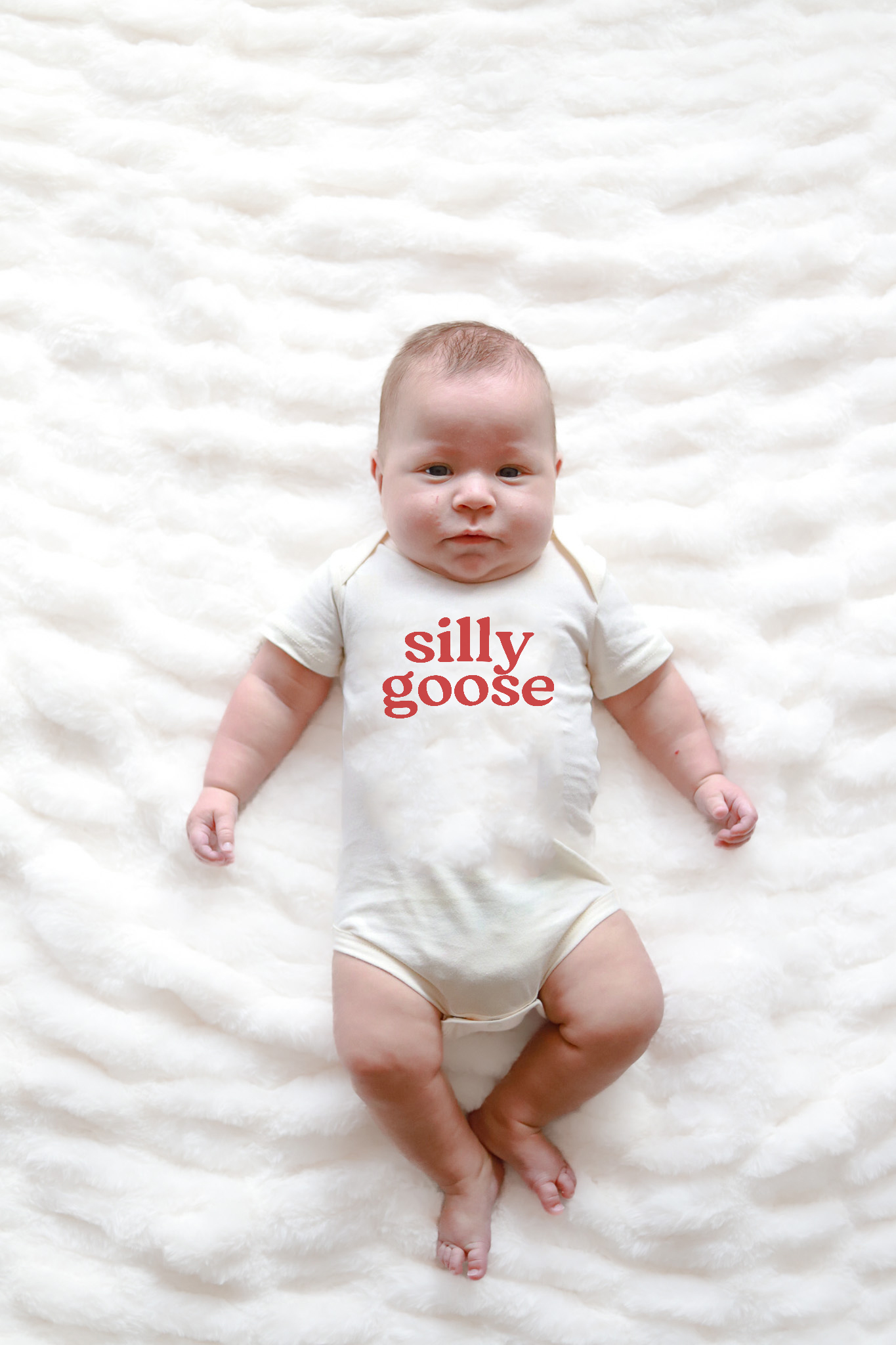 Silly Goose Baby Onesie, baby clothes, baby boy, baby girl