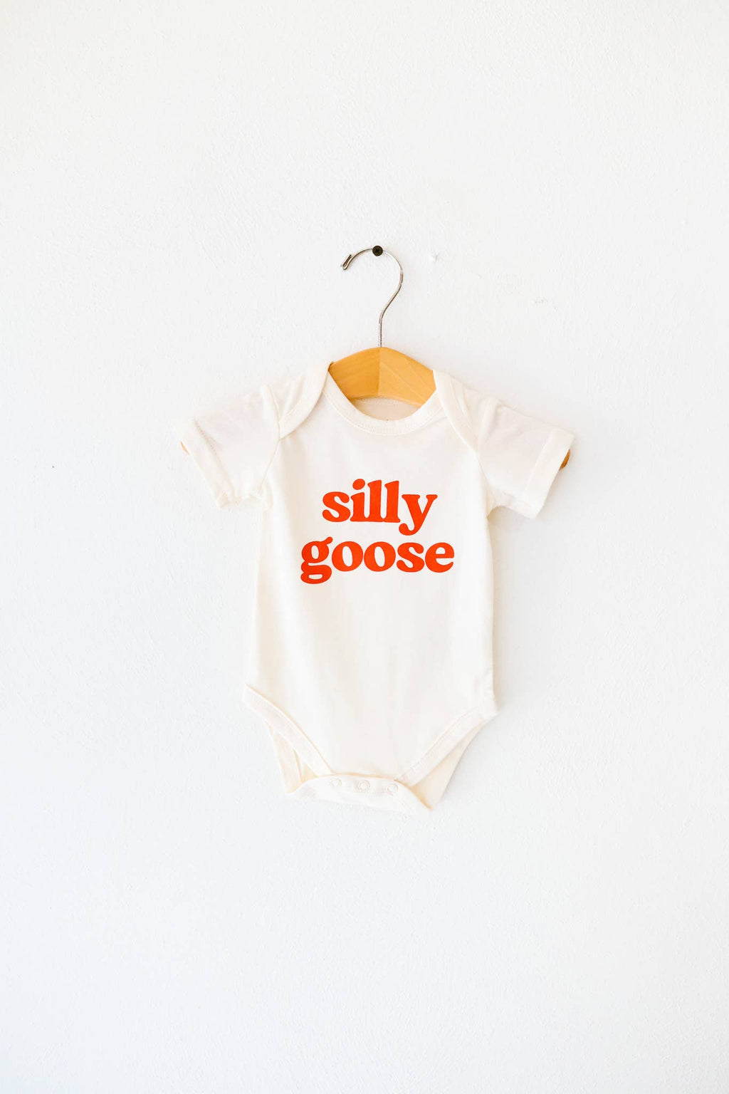 Silly Goose Baby Onesie, baby clothes, baby boy, baby girl