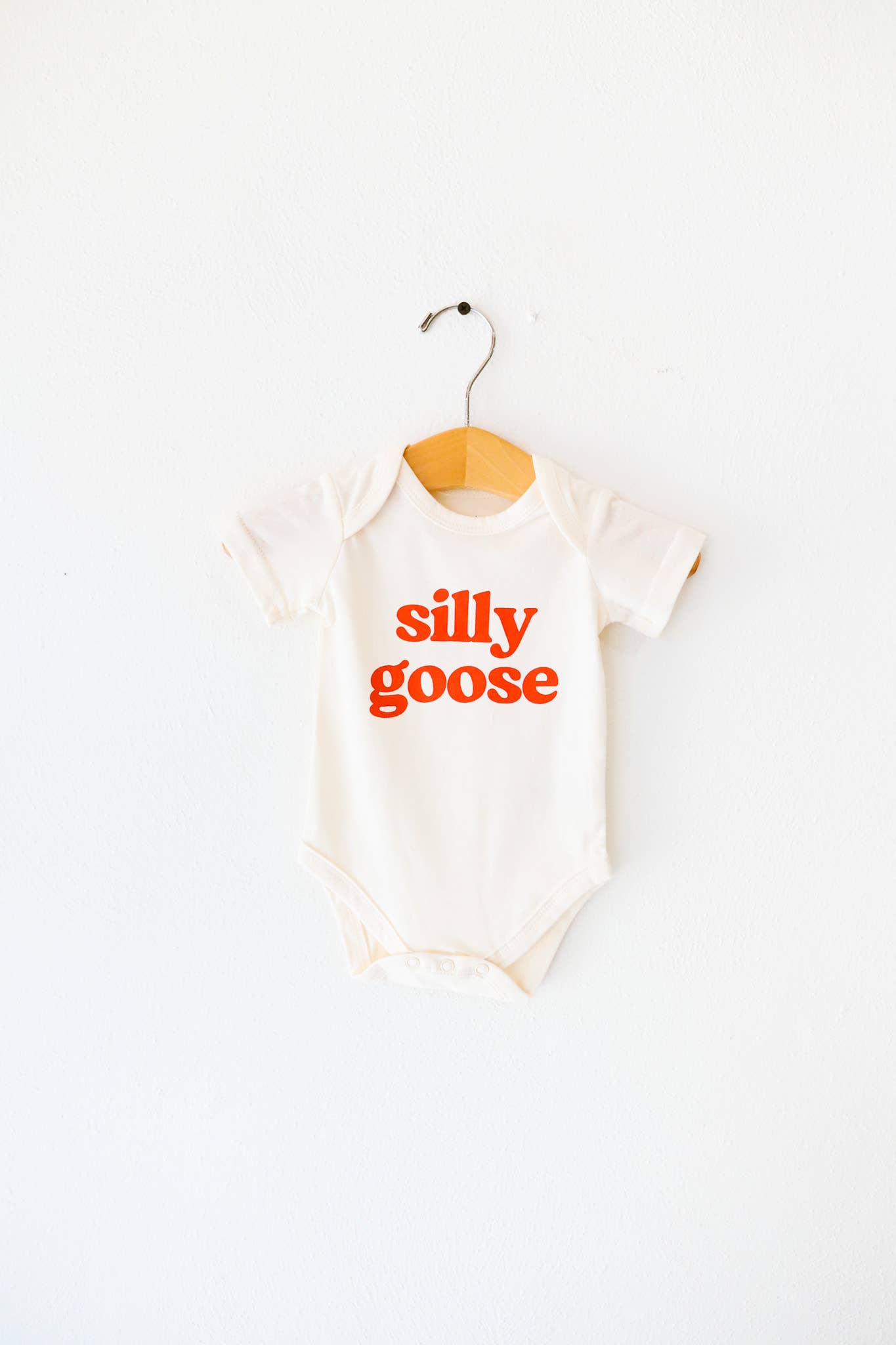 Silly Goose Baby Onesie, baby clothes, baby boy, baby girl